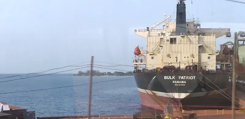 ASIAN BULK Bulk Carrier IMO 9115523 photo 6