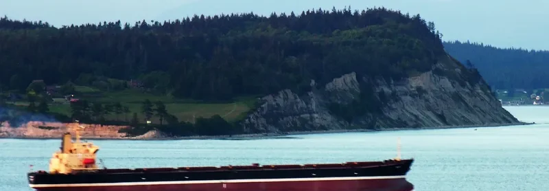 ASIAN BULK Bulk Carrier IMO 9115523 photo 9