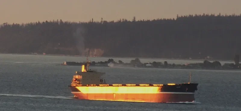 ASIAN BULK Bulk Carrier IMO 9115523 photo 10