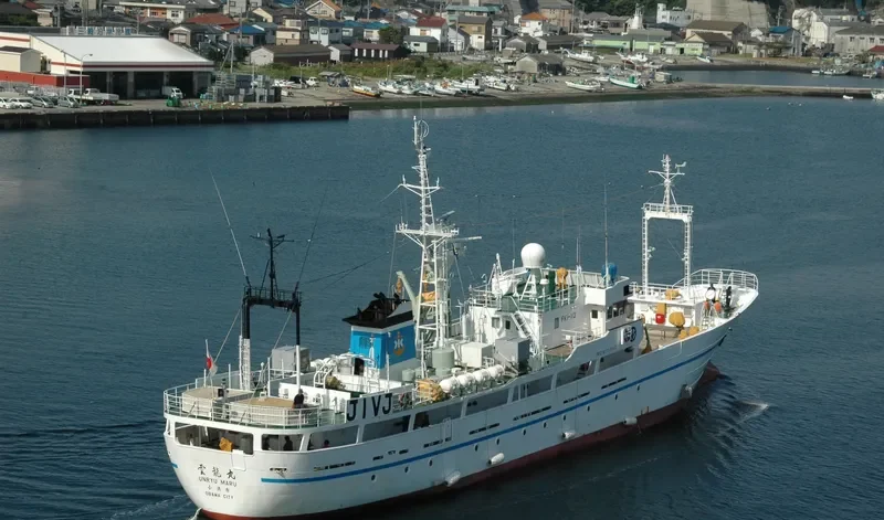 POLARIS General Cargo IMO 9115640 photo 4