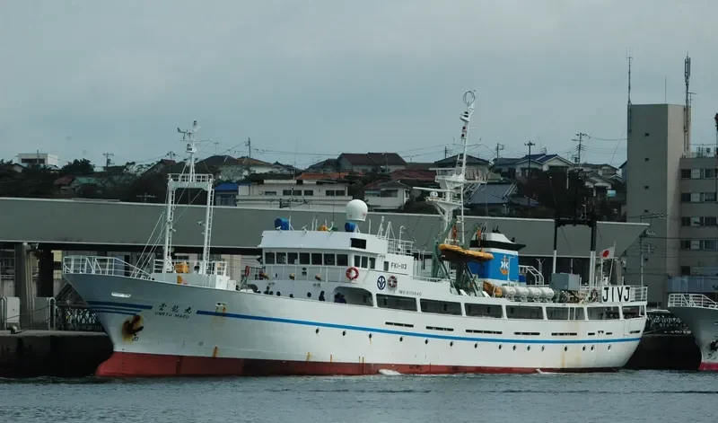 POLARIS General Cargo IMO 9115640 photo 5