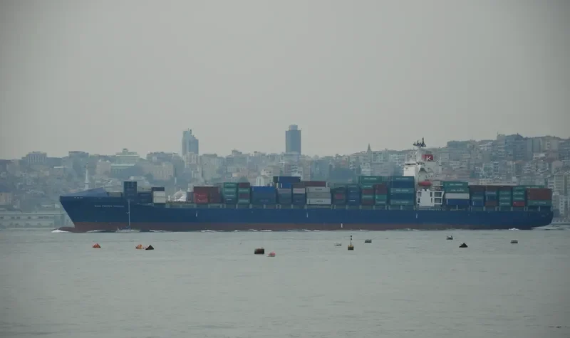 SARA Container Ship IMO 9115717 photo 4