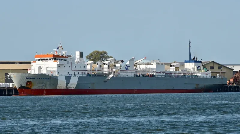 BISON EXPRESS General Cargo IMO 9115949