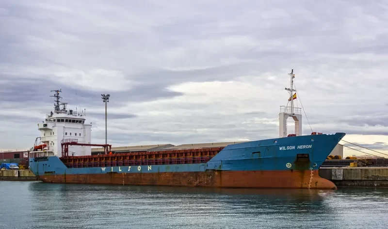 WILSON HERON General Cargo IMO 9116022 photo 7