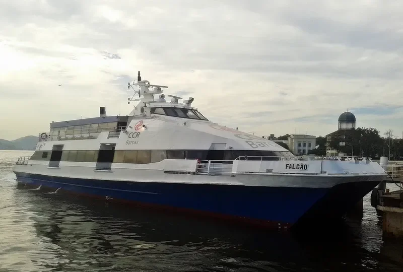 FALCAO Passenger Ship IMO 9116060 photo 3