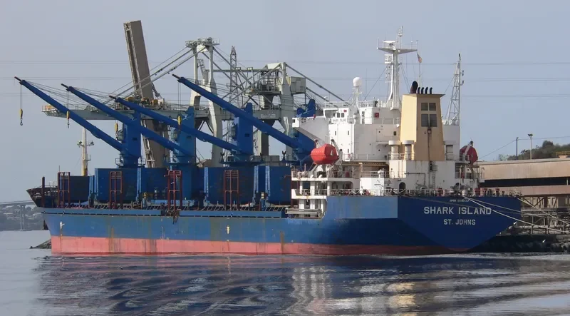 ARKTIS Bulk Carrier IMO 9116137 photo 8