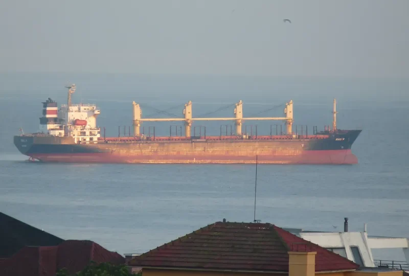 PRAVIK Bulk Carrier IMO 9116149 photo 5