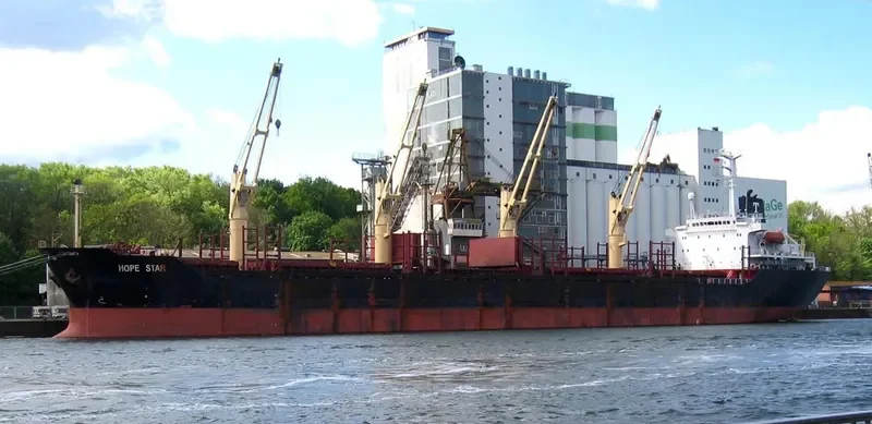 RUN FU 6 Bulk Carrier IMO 9116280