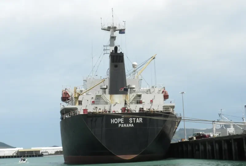 RUN FU 6 Bulk Carrier IMO 9116280 photo 2
