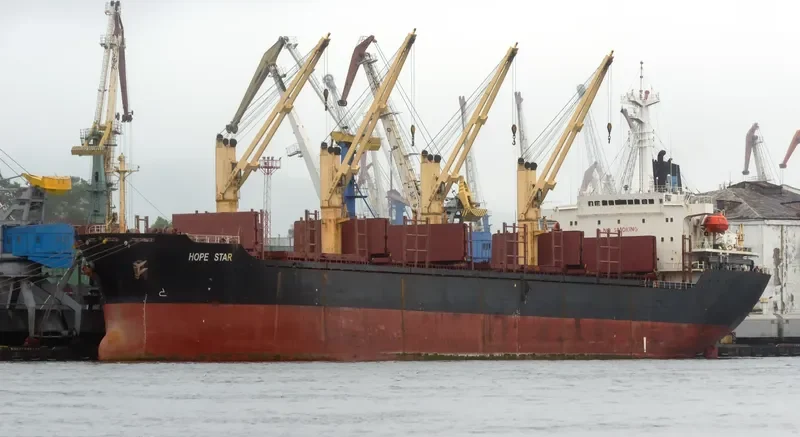 RUN FU 6 Bulk Carrier IMO 9116280 photo 3