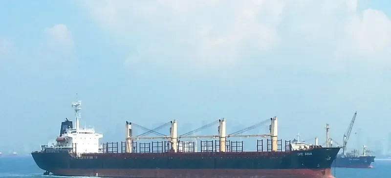 RUN FU 6 Bulk Carrier IMO 9116280 photo 8