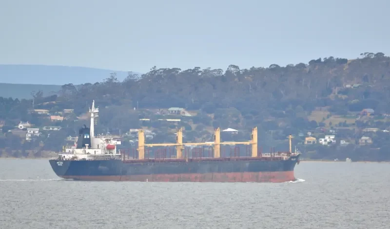 ISA GOLDEN Bulk Carrier IMO 9116292 photo 10