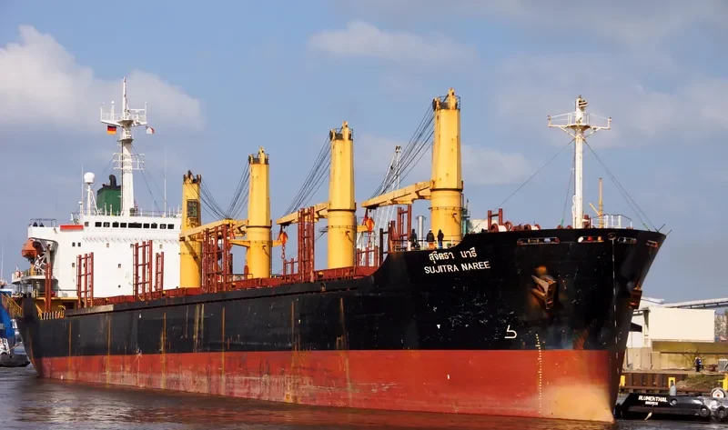 SUJITRA NAREE Bulk Carrier IMO 9116307
