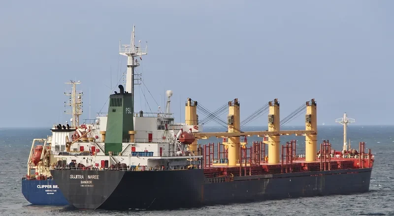 SUJITRA NAREE Bulk Carrier IMO 9116307 photo 6