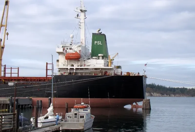 SUJITRA NAREE Bulk Carrier IMO 9116307 photo 9