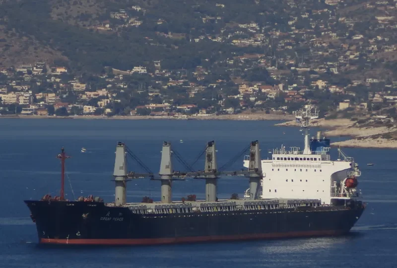 GREAT PEACE Bulk Carrier IMO 9116333