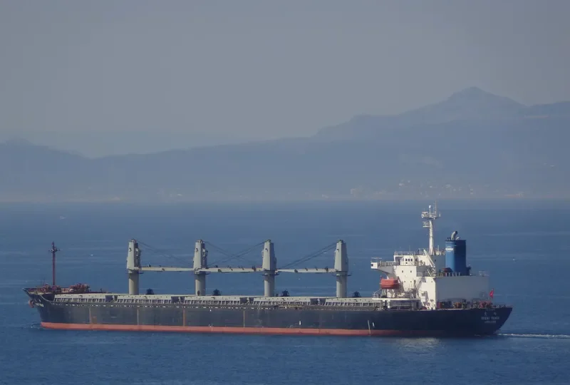 GREAT PEACE Bulk Carrier IMO 9116333 photo 3