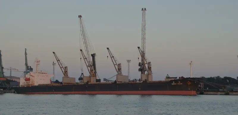 GREAT PEACE Bulk Carrier IMO 9116333 photo 10