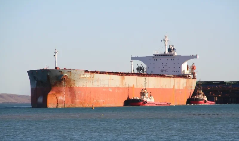 STAR BIG Bulk Carrier IMO 9116395