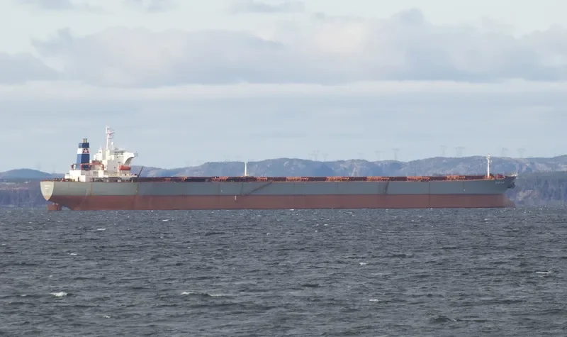 STAR BIG Bulk Carrier IMO 9116395 photo 2