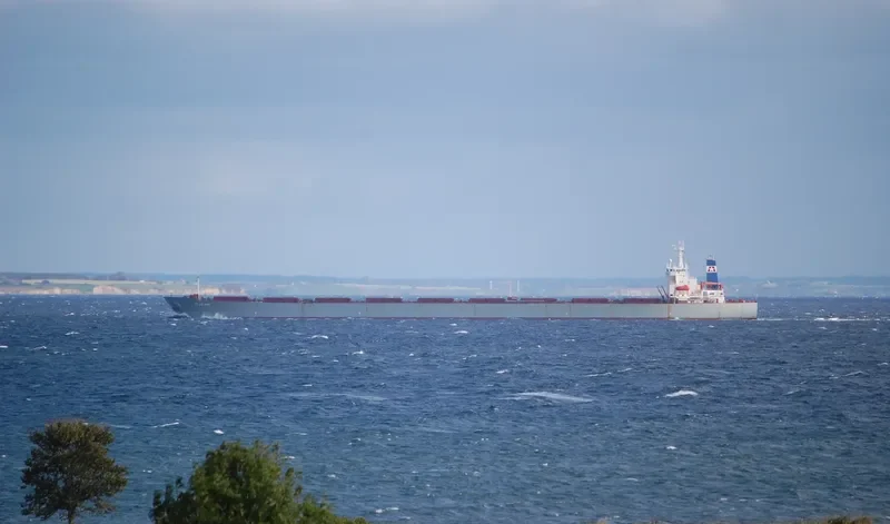 STAR BIG Bulk Carrier IMO 9116395 photo 6