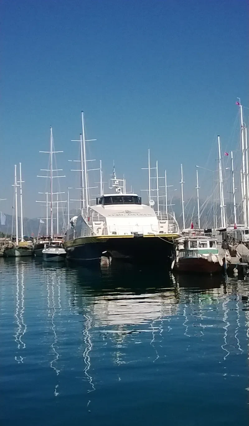 SEA STAR MAKRI Passenger Ship IMO 9116462 photo 5