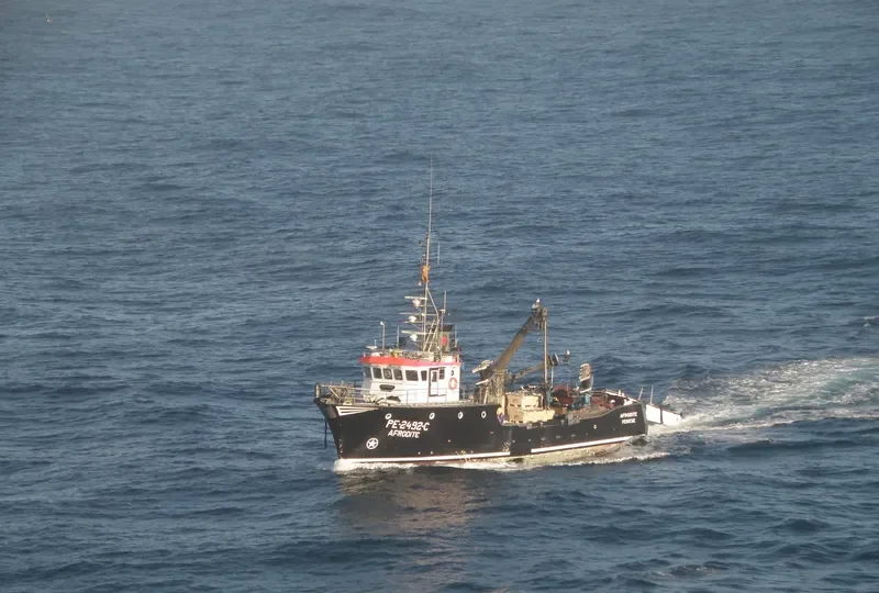 AFRODITE General Cargo IMO 9116474 photo 6