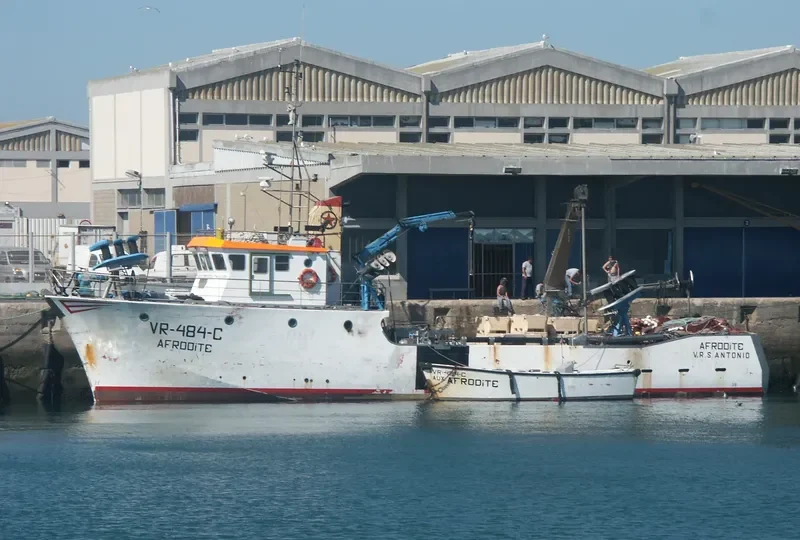 AFRODITE General Cargo IMO 9116474 photo 9