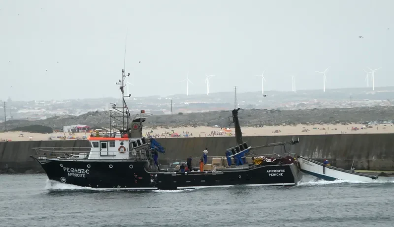 AFRODITE General Cargo IMO 9116474 photo 10