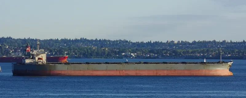 CAPE CANADA Bulk Carrier IMO 9116565 photo 3