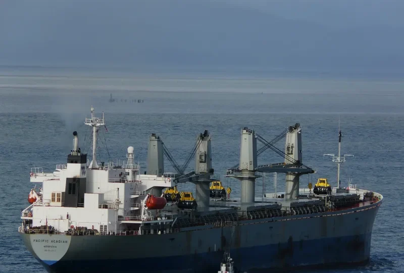 BEST TRAVELLER Bulk Carrier IMO 9116644 photo 3