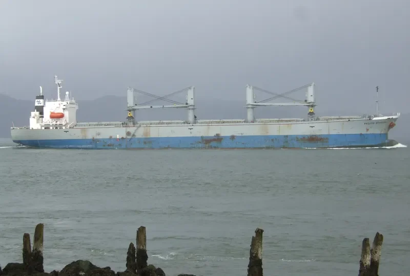 BEST TRAVELLER Bulk Carrier IMO 9116644 photo 4
