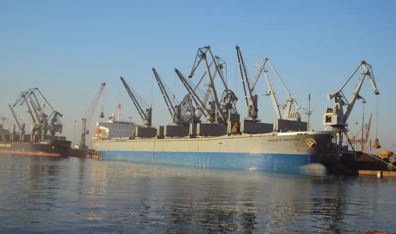 DZ QINGDAO Bulk Carrier IMO 9116656 photo 4