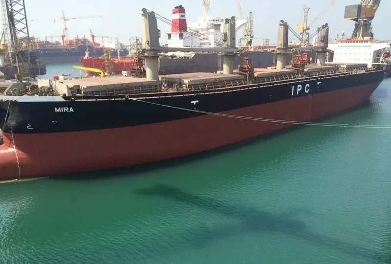 MIRA Bulk Carrier IMO 9116668 photo 12