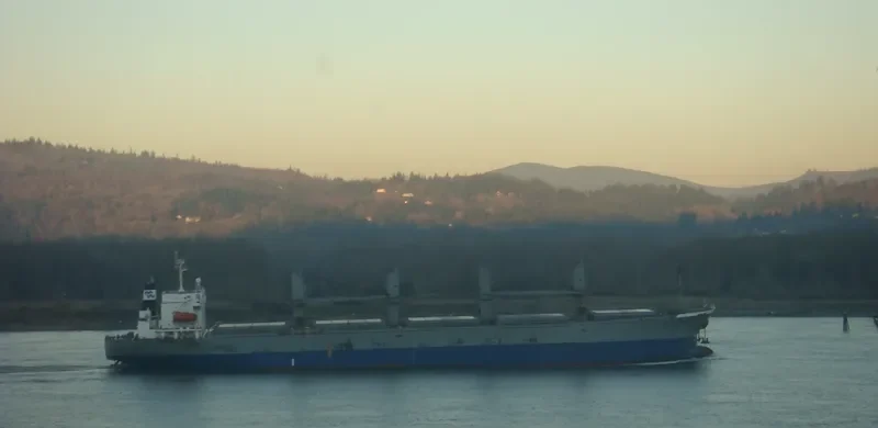 MIRA Bulk Carrier IMO 9116668 photo 14
