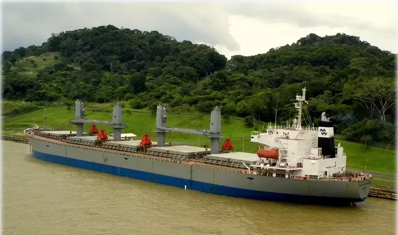 PACIFIC PAMELA Bulk Carrier IMO 9116682
