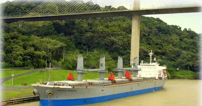 PACIFIC PAMELA Bulk Carrier IMO 9116682 photo 2