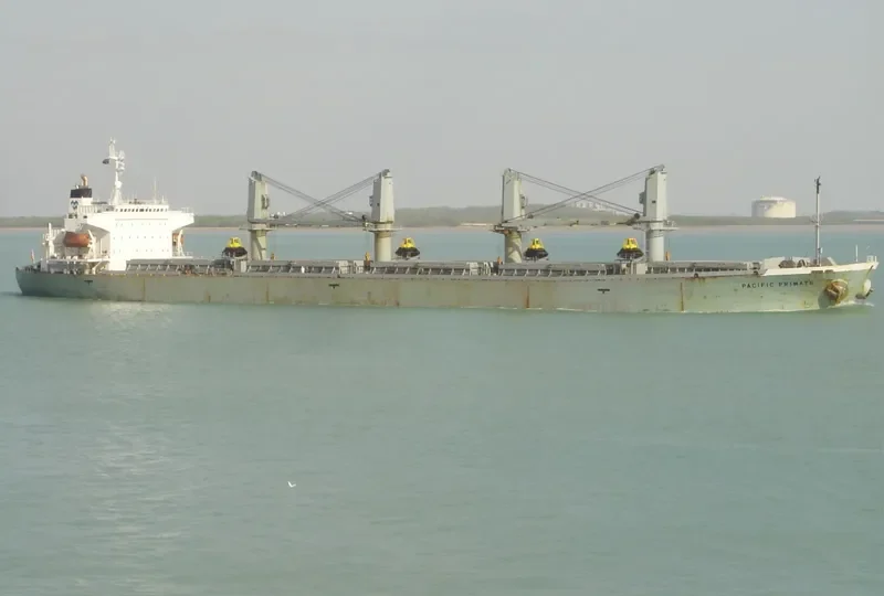 PACIFIC PAMELA Bulk Carrier IMO 9116682 photo 4