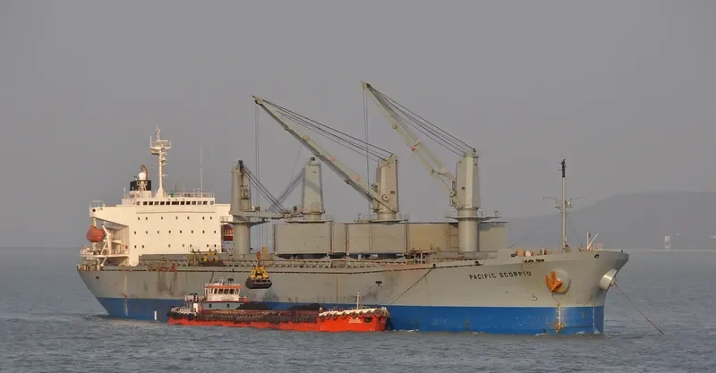 PACIFIC SELINA Bulk Carrier IMO 9116694