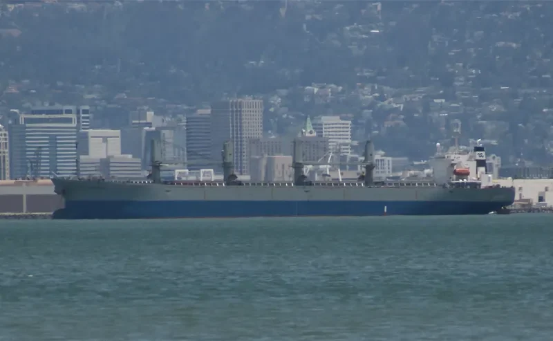 PACIFIC SELINA Bulk Carrier IMO 9116694 photo 8