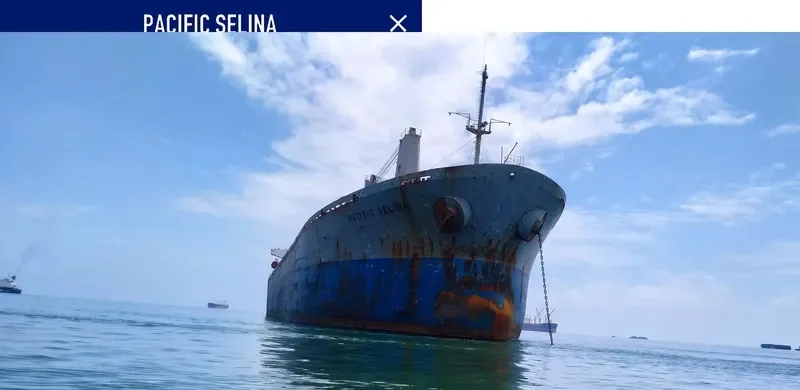 PACIFIC SELINA Bulk Carrier IMO 9116694 photo 10