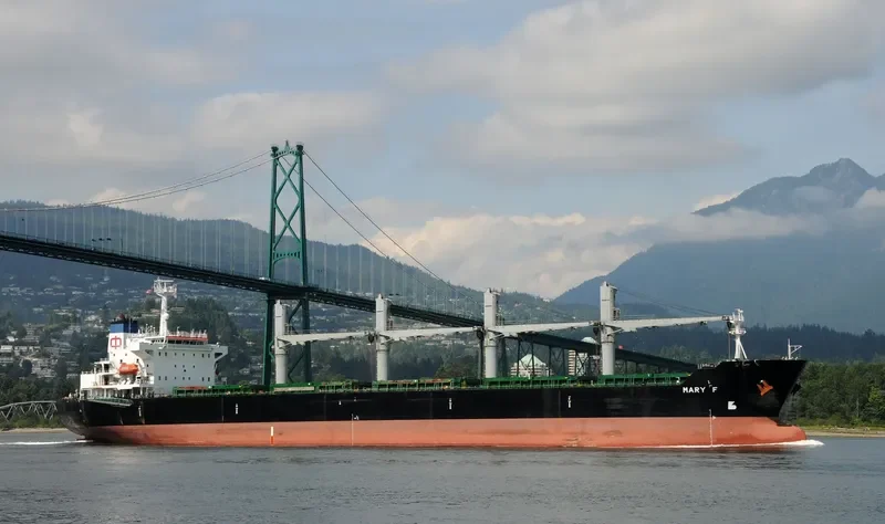 INDIAN OCEAN I Bulk Carrier IMO 9116723 photo 5