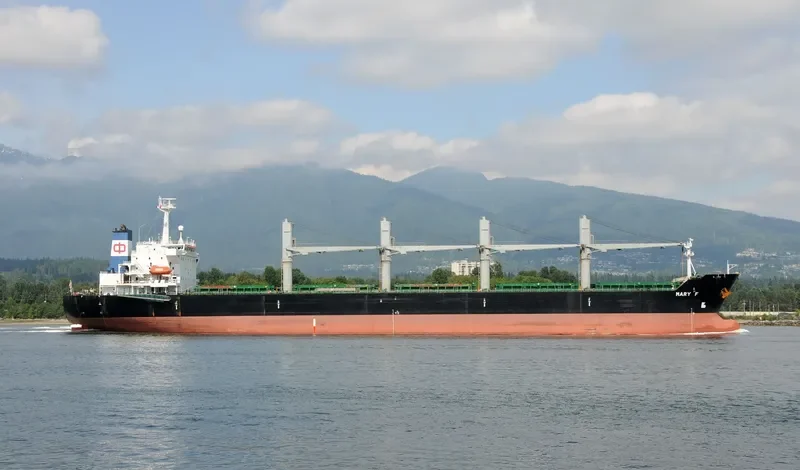 INDIAN OCEAN I Bulk Carrier IMO 9116723 photo 6