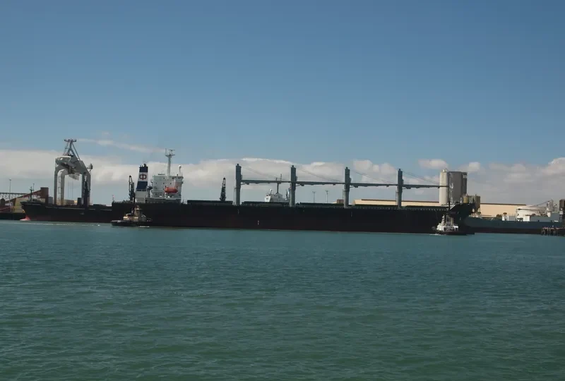 INDIAN OCEAN I Bulk Carrier IMO 9116723 photo 9