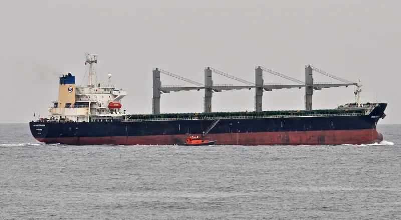 ORCHID DRAGON Bulk Carrier IMO 9116735