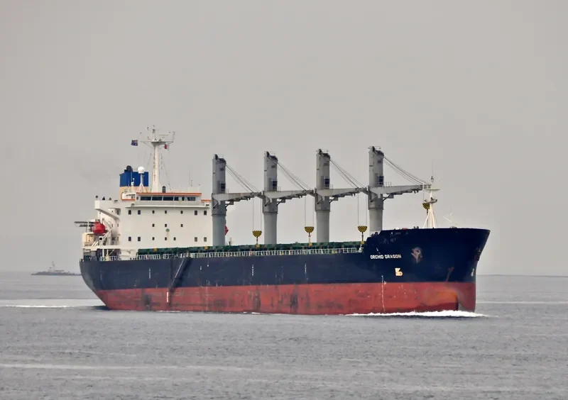 ORCHID DRAGON Bulk Carrier IMO 9116735 photo 2