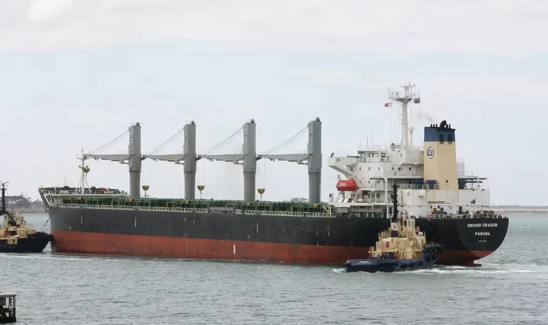 ORCHID DRAGON Bulk Carrier IMO 9116735 photo 3