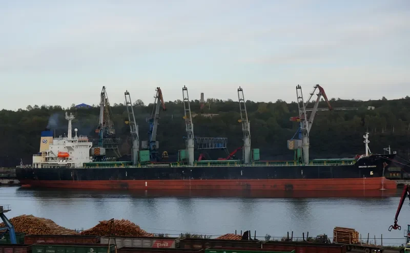 ORCHID DRAGON Bulk Carrier IMO 9116735 photo 7
