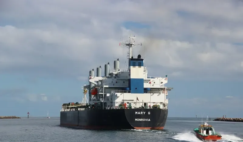 ORCHID DRAGON Bulk Carrier IMO 9116735 photo 9