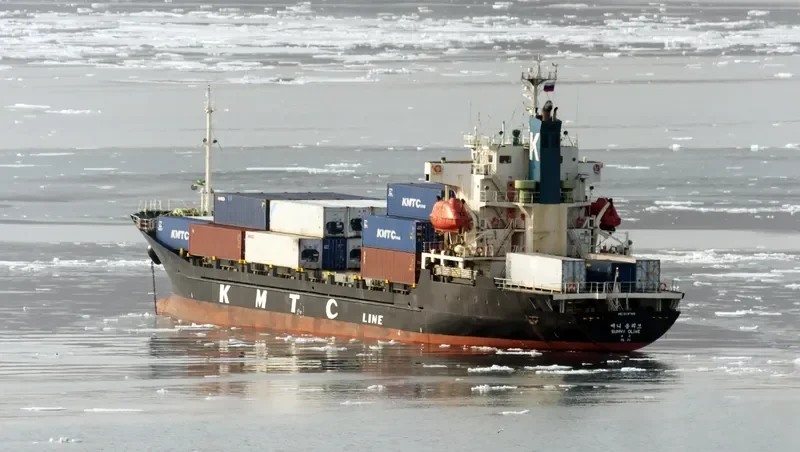 MERIDIAN OCHO Container Ship IMO 9116759 photo 6